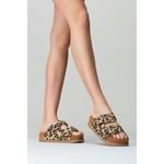 LEOPAR