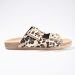 LEOPAR